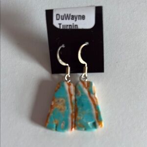 Blue and Brown Bohemian Earrings with Organic Design